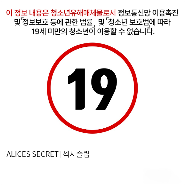 [ALICES SECRET] 섹시슬립 & 팬티 세트 (A14)