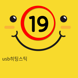 USB 히팅스틱